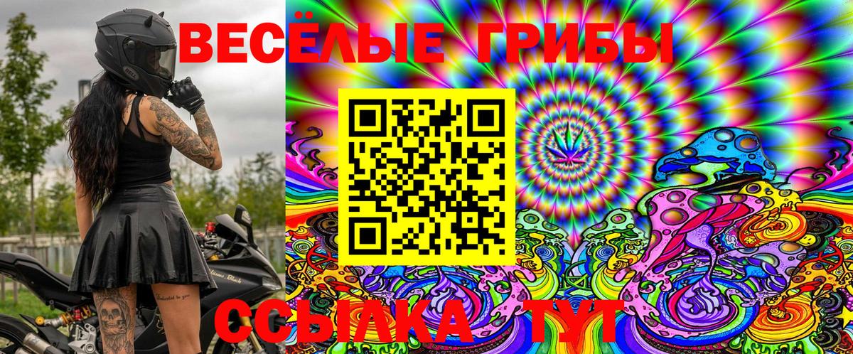 Вязьма  Галлюциногенные грибы ЛСД  Псилоцибиновые грибы Psilocybe  Вход с VPN 